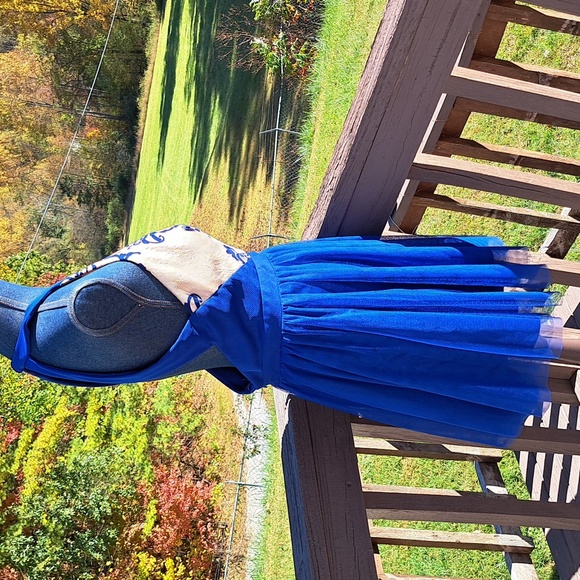 Blondie Electric Blue Tulle and Lace Dress - Picture 9 of 10